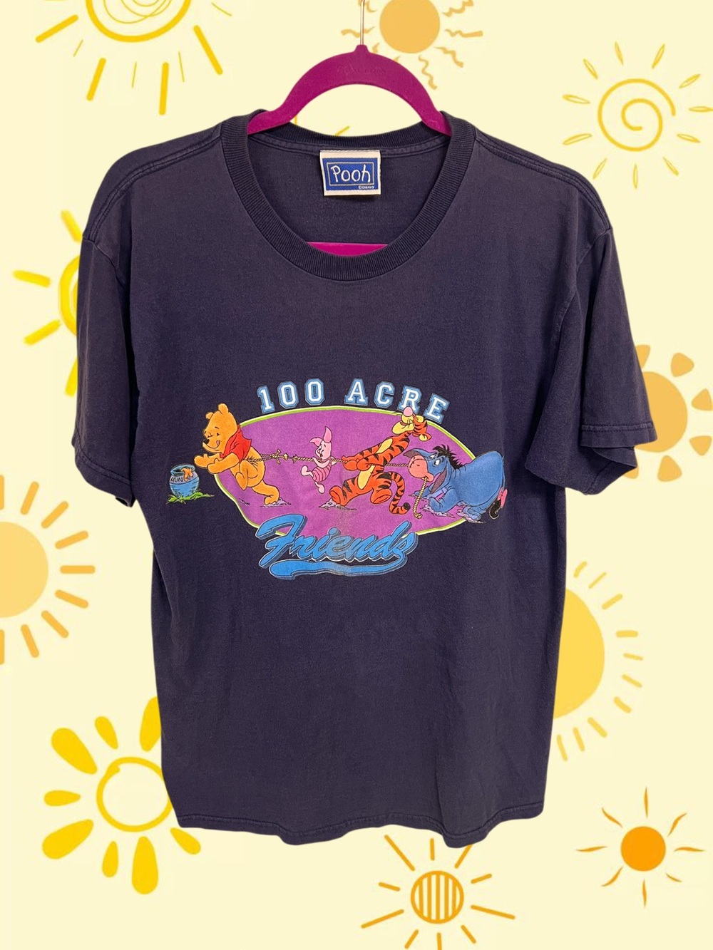 Disney Pooh 100 Acre Friends Winnie the Pooh dark purplish tee